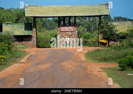 Ruhunu, Provincia Meridionale, Sri Lanka, Tissamaharama, Parco Nazionale di Yala Foto Stock
