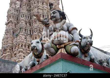 Provincia Centrale, Matale, Tempio indù di Matale, Sri Lanka, dettaglio esterno Foto Stock