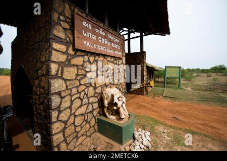 Provincia meridionale, Sri Lanka, Tissamaharama, Parco Nazionale di Yala, cancello d'ingresso Foto Stock