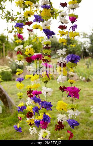 Cortina di fiori, primo piano Foto Stock