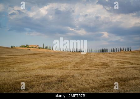 Iconico paesaggio toscano con cipressi fiancheggiati lungo la strada che conduce alla villa, Toscana, Italia. Foto Stock