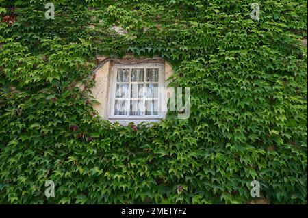 L'Abbaye Cistercienne de Fontenay, Francia, fondo 1118 de Bernard de Clairveux - 1791 Foto Stock