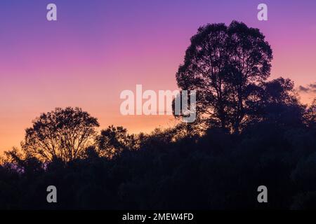 Crepuscolo sul fiume Song Dong Nai nel Parco Nazionale di Cat Tien, Vietnam Foto Stock