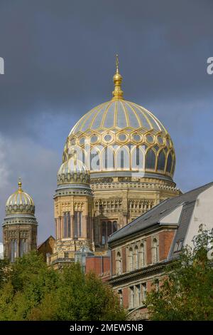 Sinagoga, Oranienburger Strasse, Mitte, Berlino, Germania Foto Stock