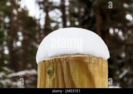 Un palo di legno chiaro coperto di neve bianca con molti alberi verdi sullo sfondo Foto Stock