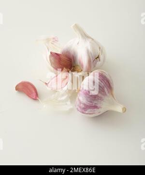 Lampadine dell'aglio Foto Stock