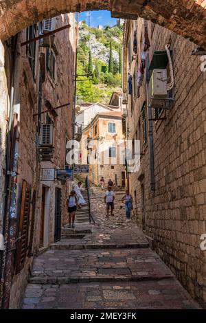 Strada stretta che porta all'inizio della salita al Forte di San Ivan sulla collina sopra, nella città vecchia di Cattaro in Montenegro Foto Stock