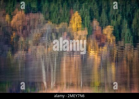 Riflessioni su una superficie d'acqua nel mese di settembre Foto Stock