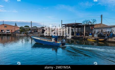 Un pescatore in una barca, entrando nel Mourre Blanc vicino a Mèze, Occitanie, Francia Foto Stock