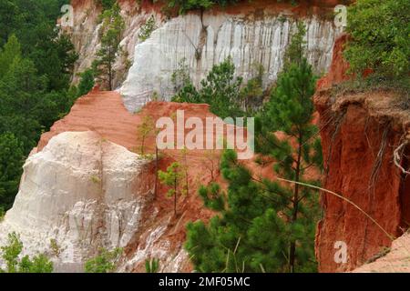 Providence Canyon in Georgia, Stati Uniti. Vista spettacolare dal sentiero sul bordo del canyon. Foto Stock