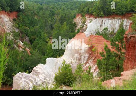 Providence Canyon in Georgia, Stati Uniti. Vista spettacolare dal sentiero sul bordo del canyon. Foto Stock