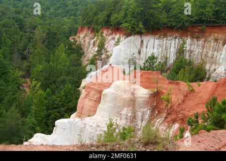 Providence Canyon in Georgia, Stati Uniti. Vista spettacolare dal sentiero sul bordo del canyon. Foto Stock