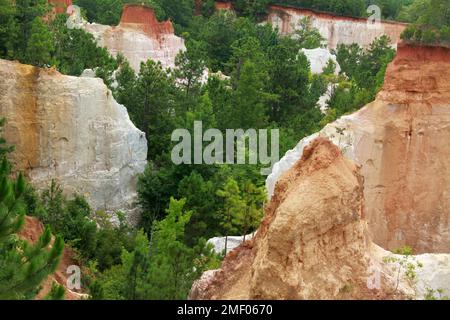 Providence Canyon in Georgia, Stati Uniti. Vista spettacolare dal sentiero sul bordo del canyon. Foto Stock