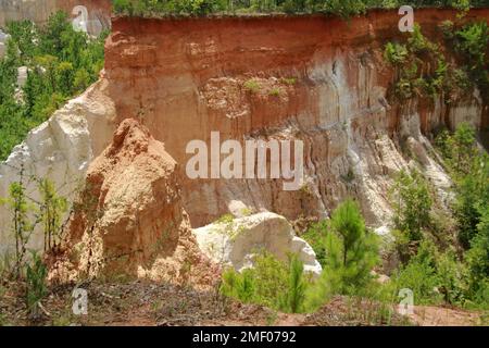 Providence Canyon in Georgia, Stati Uniti. Vista spettacolare dal sentiero sul bordo del canyon. Foto Stock