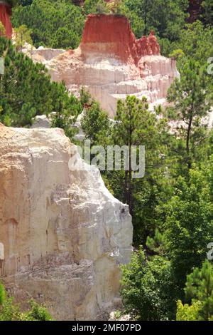 Providence Canyon in Georgia, Stati Uniti. Vista spettacolare dal sentiero sul bordo del canyon. Foto Stock