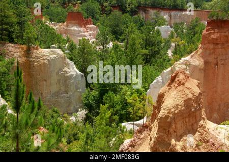 Providence Canyon in Georgia, Stati Uniti. Vista spettacolare dal sentiero sul bordo del canyon. Foto Stock