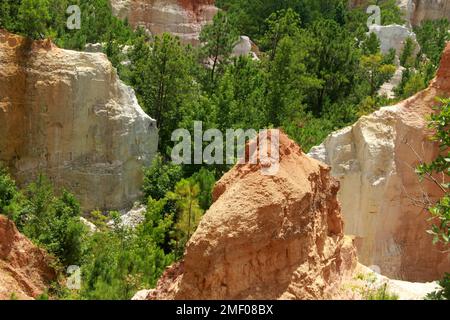 Providence Canyon in Georgia, Stati Uniti. Vista spettacolare dal sentiero sul bordo del canyon. Foto Stock