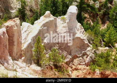 Providence Canyon in Georgia, Stati Uniti. Vista spettacolare dal sentiero sul bordo del canyon. Foto Stock