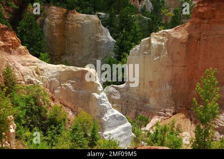 Providence Canyon in Georgia, Stati Uniti. Vista spettacolare dal sentiero sul bordo del canyon. Foto Stock