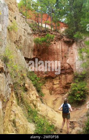 Providence Canyon in Georgia, Stati Uniti. Vista di un muro di canyon eroso dal pavimento del canyon. Foto Stock