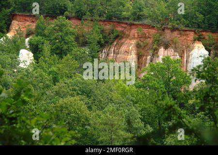 Providence Canyon in Georgia, Stati Uniti. Vista spettacolare dal sentiero sul bordo del canyon. Foto Stock