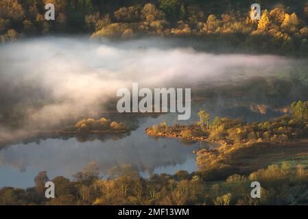 Colori d'autunno d'oro a Elterwater on Misty Morning, Lake District, Regno Unito. Foto Stock