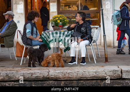 Due donne e due cani seduti a un tavolo all'aperto con aperitivo, all'Happy Hour, Venezia, Italia. Foto Stock