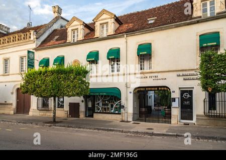 La cantina William Fèvre a Chablis, Francia Foto Stock