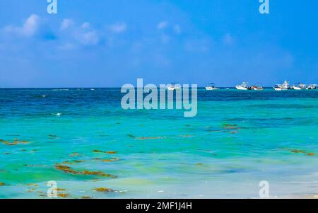 Barca yacht nave traghetto molo e porto presso la tropicale messicano caraibi spiaggia vista panoramica a Playa del Carmen Quintana Roo Messico. Foto Stock