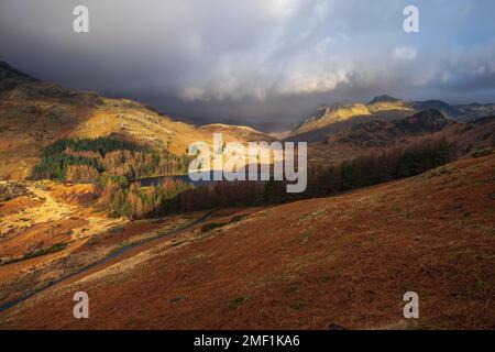 Luce drammatica mattutina sulle montagne Cumbria con vista su Blea Tarn e Langdale Pikes. Lake District, Regno Unito. Foto Stock