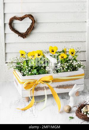 Bella sistemazione floristica primaverile con fiori di viola giallo nella vecchia scatola di legno d'annata. Decorazione fatta in casa per Pasqua. Spazio di copia. Foto Stock