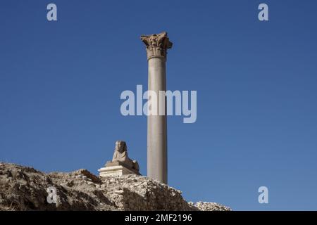 La colonna di Pompeo e di Sphinx Sito del Tempio di Serapide nel trimestre Karmous nel sud-ovest della città di Alessandria, Egitto Foto Stock