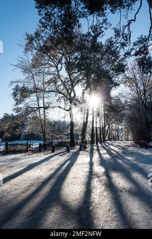 Scene invernali ad Aspley Heath, Woburn, Regno Unito Foto Stock
