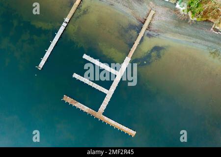 Fotografia aerea del drone che mostra alghe verdi blu sulla costa del lago. Derwentwater, Lake District, Regno Unito. Foto Stock