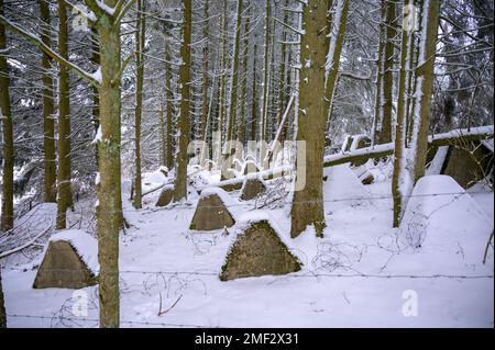 Parete anticank o denti del drago sul Westwall coperto di neve in una foresta Foto Stock