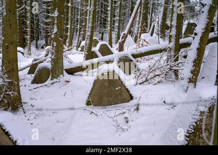 Scatto medio di denti di drago anti-carro armato coperto di neve in una foresta Foto Stock