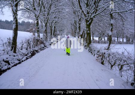 Donna visto camminare in pantaloni ad alta visibilità su un percorso coperto di neve tra gli alberi Foto Stock