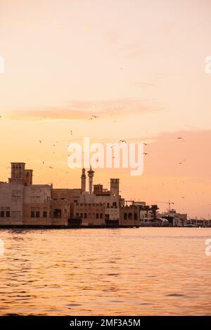 Vista del torrente di Dubai con molti gabbiani e al tramonto Foto Stock