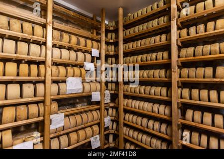 Formaggi stagionati su scaffali in legno presso caseificio in Toscana. Foto Stock