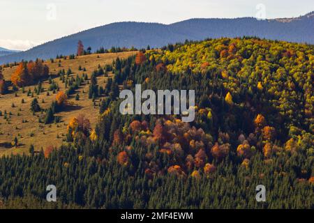 Bel paesaggio con prato rurale in Carpazi montagne, Ucraina. Foto Stock