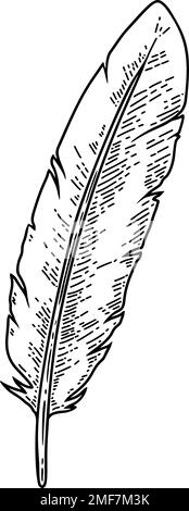 Illustrazione di una vecchia penna a piume in stile incisione. Elemento di design per scheda, banner, menu. Illustrazione vettoriale Illustrazione Vettoriale