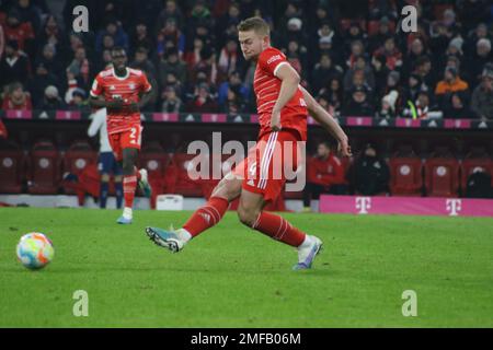 Monaco, Germania. 24th gennaio 2023. 4 Matthijs de LIGT in azione durante la partita di calcio della Bundesliga tra il Bayern Monaco e il FC Koeln alla Allianz Arena di Monaco il 24. Gennaio, 2023, Germania. DFL, Fussball, 1:1 (Foto e copyright @ ATP images/Arthur THILL (THILL Arthur/ATP/SPP) Credit: SPP Sport Press Photo. /Alamy Live News Foto Stock