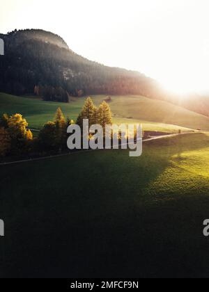 Veduta aerea dei prati e delle foreste alpine nelle Dolomiti, Alto Adige, Italia all'alba. Foto Stock