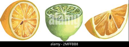 Illustrazione vettoriale di succosi limoni, fette e interi limoni gialli luminosi, frutta succosa Illustrazione Vettoriale