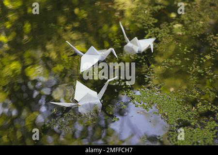 Primo piano gru origami galleggianti sulla foto Water Concept Foto Stock