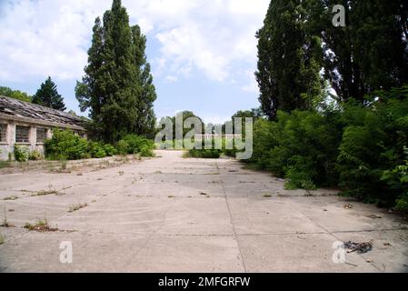 zmaj abbandonata fabbrica ondonata Foto Stock