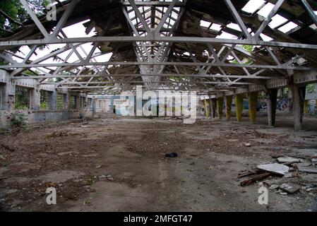 zmaj abbandonata fabbrica ondonata Foto Stock