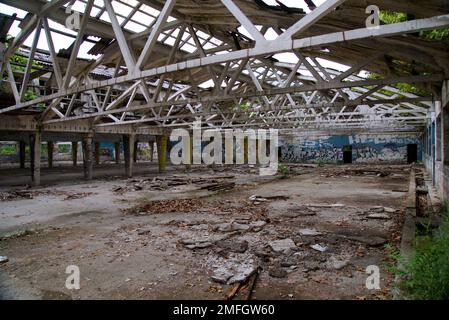 zmaj abbandonata fabbrica ondonata Foto Stock