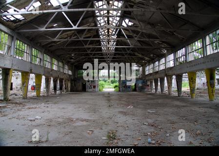 zmaj abbandonata fabbrica ondonata Foto Stock