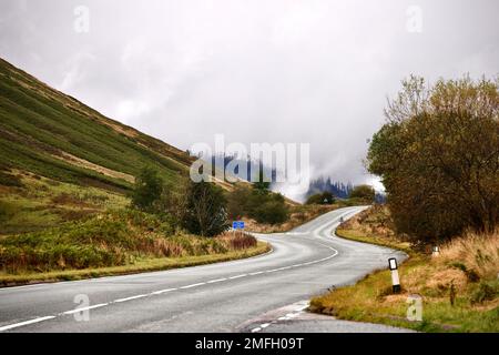 Una vista aerea della strada circondata da alberi Foto Stock
